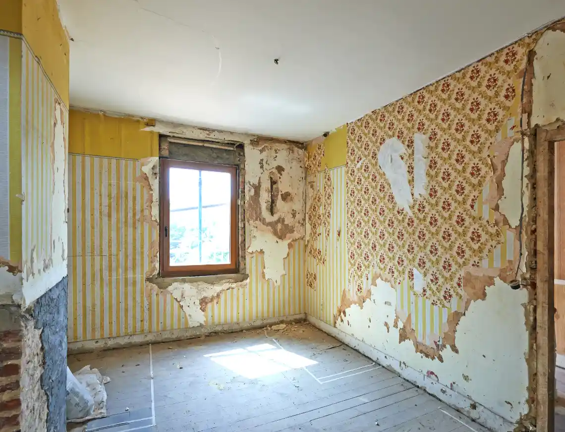 Antes y despues reforma